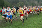 Intermediate boys 2019 New Balance English Schools Cross Country Champs, Temple Newsam, Leeds. Photo:  David T. Hewitson/Sports for All Pics